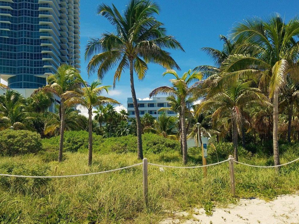 Seagull Hotel Miami Beach Eksteriør billede