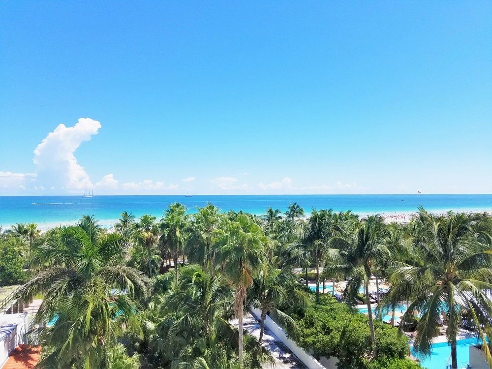 Seagull Hotel Miami Beach Eksteriør billede